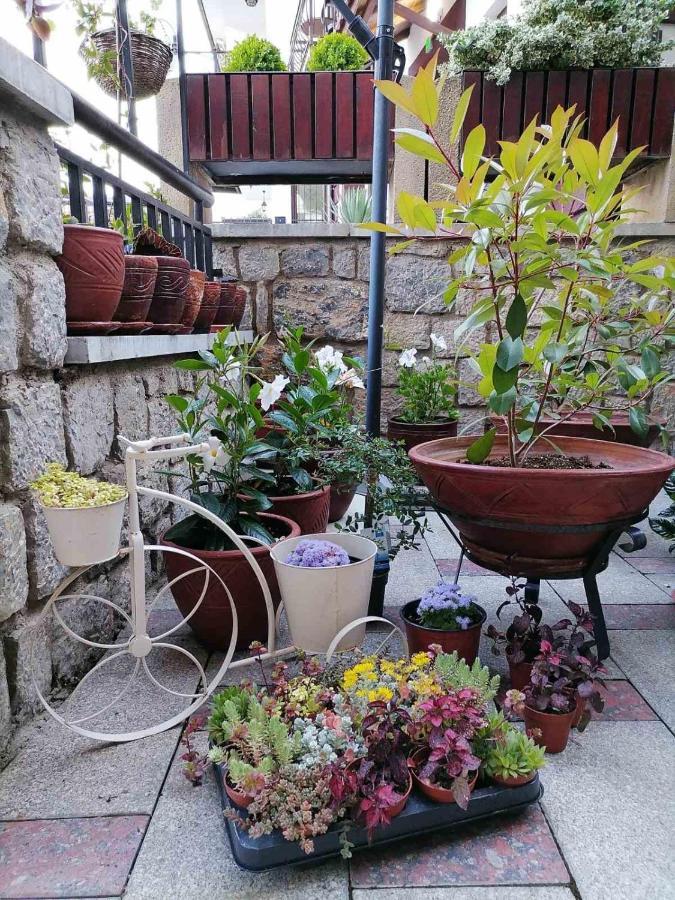 Villa Mia Suites Ohrid Exterior foto